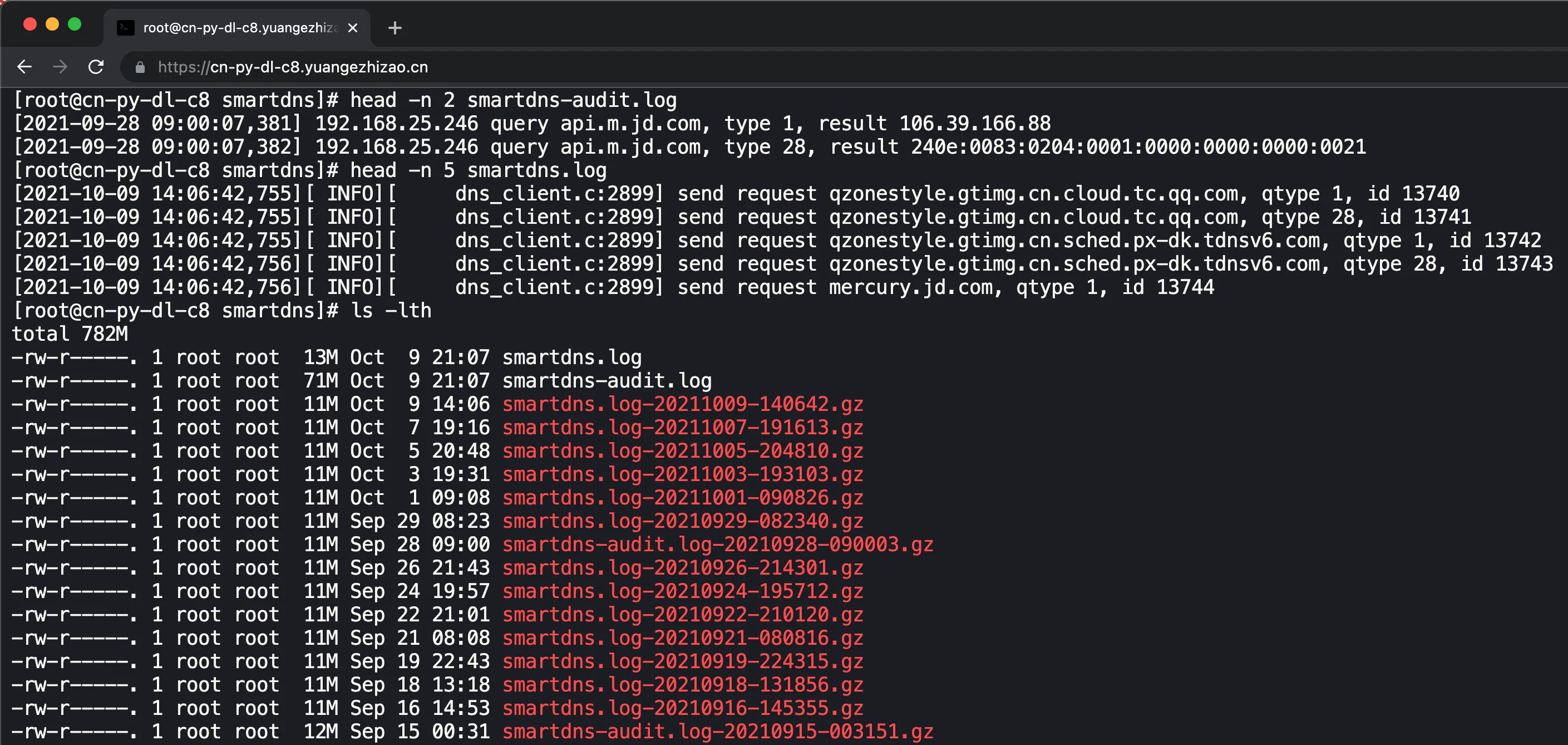 cloudflare dns adguard